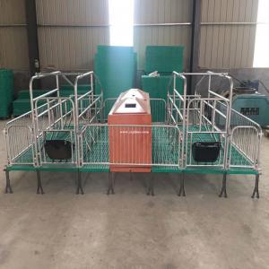 养殖场用母猪产床整套设备