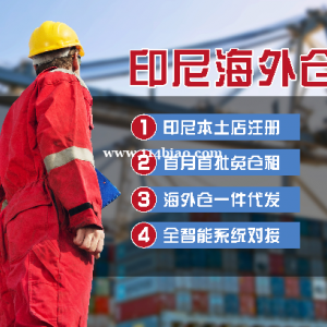女士紧身衣从江苏连云港海运到印尼双清包税到门