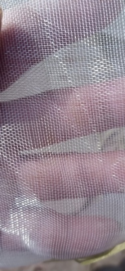 耐腐蚀牛蛙防逃网一米二宽加厚围网养殖必备
