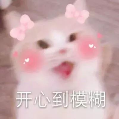 南京工业职业技术大学五年制专转本软件工程技术专业上岸指南
