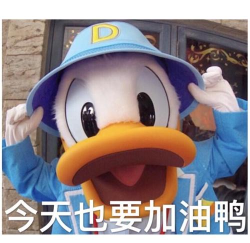 五年制专转本高职生们要学会合理进行备考计划