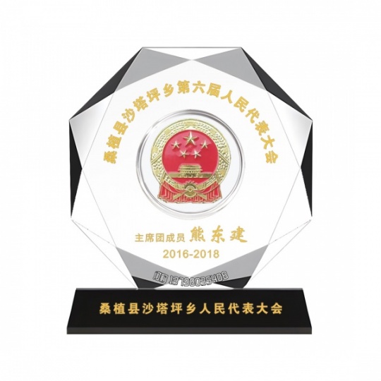 定制水晶镶嵌银币摆件周年庆员工入职退休毕业退伍纪念品金银奖章