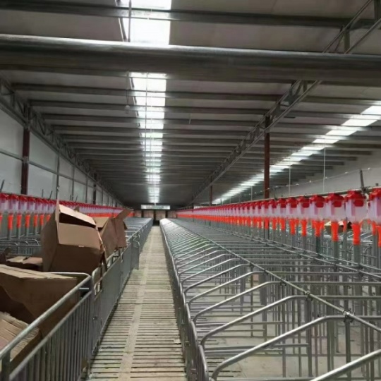 养殖用自动化喂料线母猪料线育肥料线