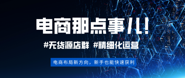 拼多多一件代发店群模，精细化选品运营高客单价蓝海类目