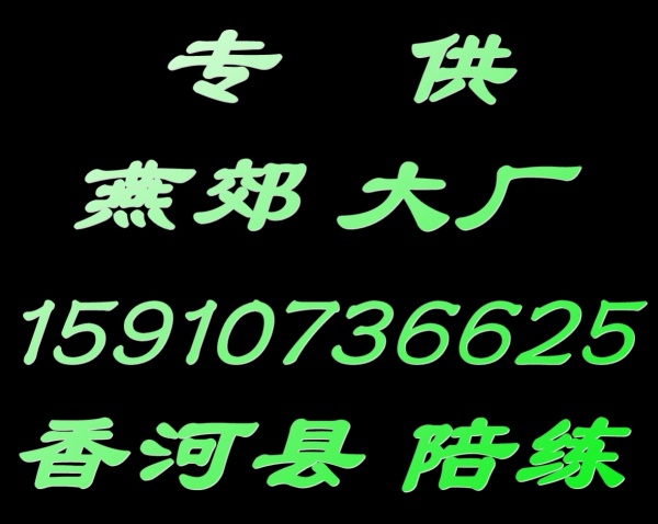 燕郊大厂香河汽车陪练公司