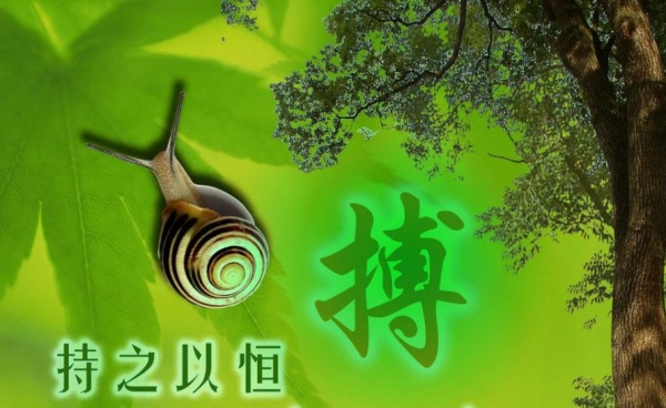 了解备考专转本的重点