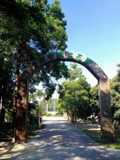 深圳宝安附近公司团建农家乐凤凰山田中园一日游