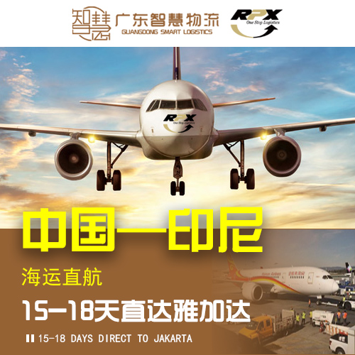 广州收纳袋至印尼海运双清专线
