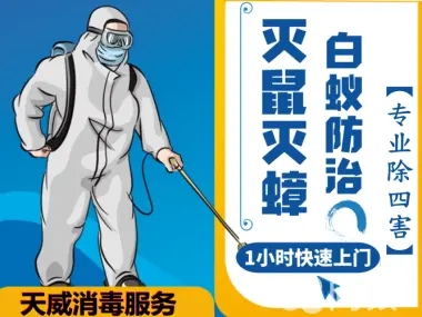 吉林市灭蚂蚁蟑螂