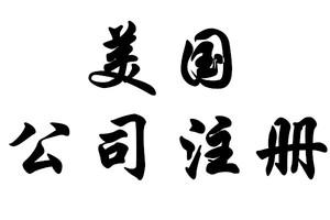 在特拉华州注册贸易公司