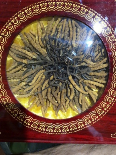 涿州地区附近回收冬虫夏草，散装，盒装，都可以回收