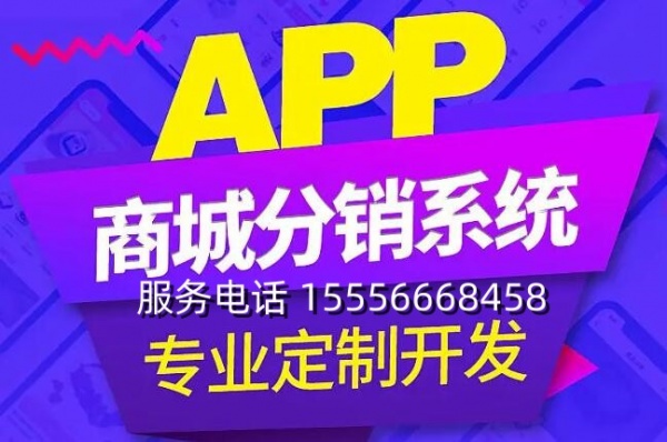 分销商城开发_APP开发_微信开发_商城系统开发-15年经验专业开发