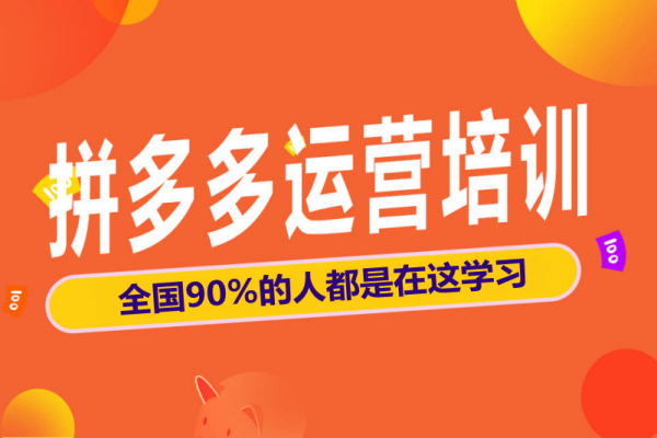 拼多多店群项目加盟，新手开店运营辅导，拼多多运营教学