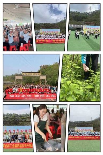 深圳公司团建野炊烧烤好去处