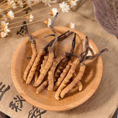 厦门虫草回收行情-冬虫夏草回收揭秘