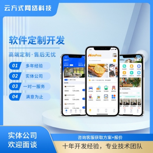 软件开发定制