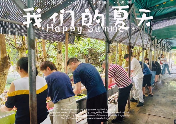 深圳坪山周边农家乐员工聚餐野炊烧烤团建一日游好地方