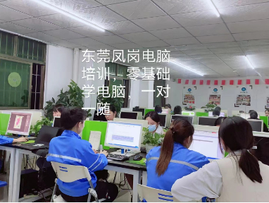 凤岗甜馨公寓附近佳慧电脑零基础教学及辅导