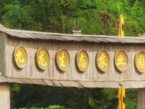 深圳周边游公司团建坪山附近农家乐趣味拓展野炊好去处