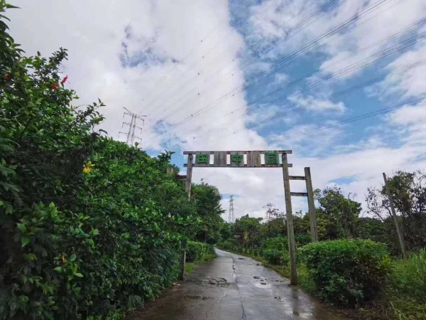 周末公司团建野炊农家乐拓展活动分享农庄一日游