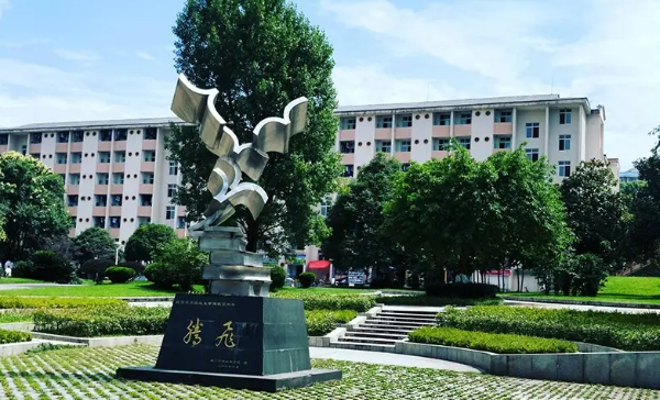 四川农业大学成人高考专升本应用化学考试科目及报名流程