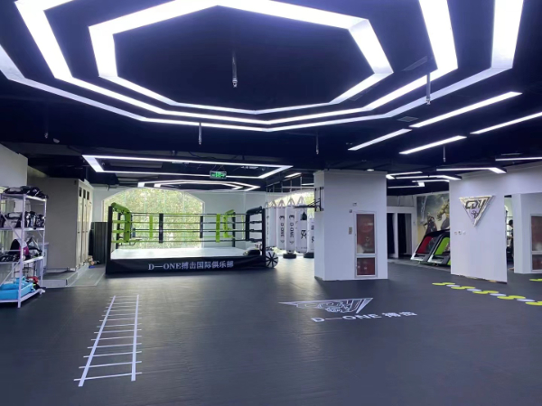 北京东城哪里学武术散打训练和平之星三层这里学