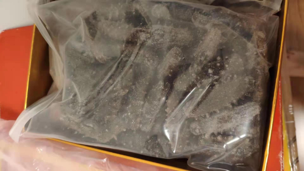 过期同仁堂海参回收近期价格一览表参考值多少钱随叫随到