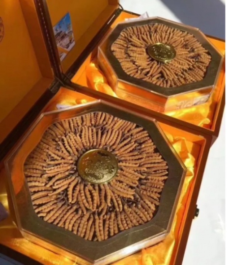 嘉兴市区回收冬虫夏草-看颜色-外形-环纹-大小评估品质