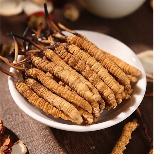 衢州回收冬虫夏草-看颜色-外形-环纹-大小评估品质