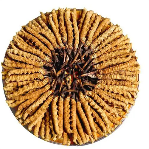 开化县回收冬虫夏草-看颜色-外形-环纹-大小评估品质