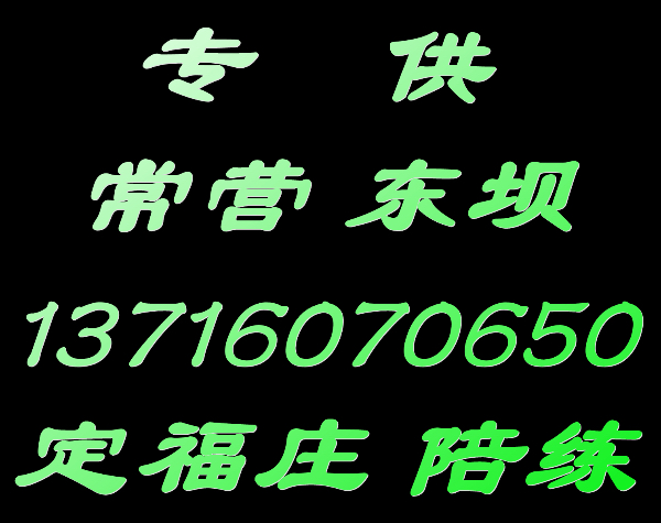 管庄常营东坝陪练公司159107尾号36625