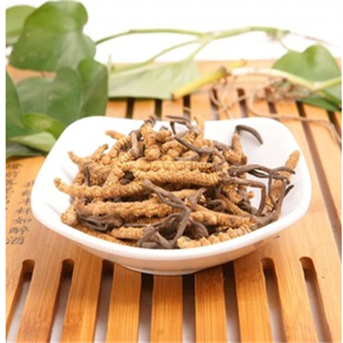 惠山区回收冬虫夏草-看颜色-外形-环纹-大小评估品质