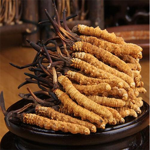 新区回收冬虫夏草-看颜色-外形-环纹-大小评估品质