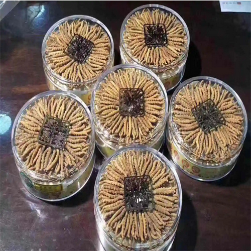 钟楼区回收冬虫夏草-看颜色-外形-环纹-大小评估品质