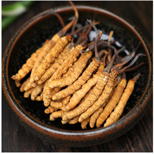盐都区回收冬虫夏草-看颜色-外形-环纹-大小评估品质