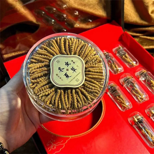 润州区回收冬虫夏草-看颜色-外形-环纹-大小评估品质