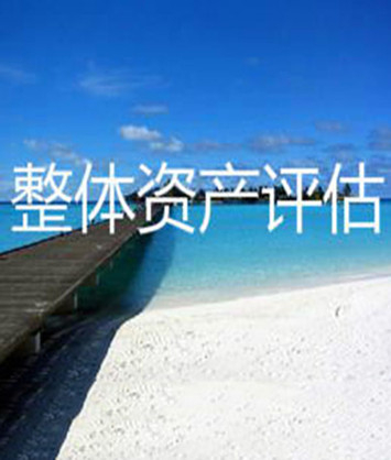 亳州企业整体资产评估，企业股权转让评估，企业破产清算评估，企业净资产评估