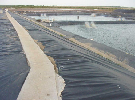 虾池水产养殖土工膜 高密度防渗膜