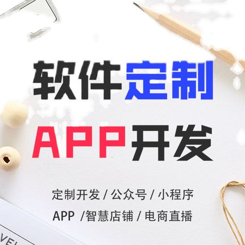 企业ERP及OA管理软件开发 互联网电商购物APP及小程序网站开发