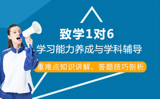 上海致学教育高三1对6怎么样