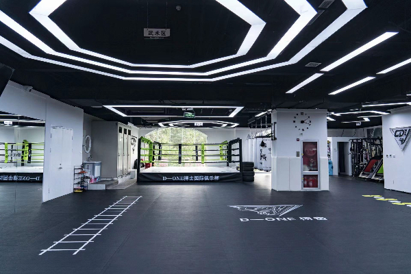 北京那里可以练习搏击拳法？北京东城D-ONE搏击