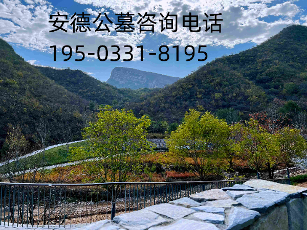 石家庄安德公墓在哪