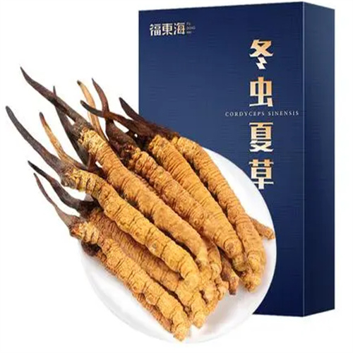 富阳-王级标准1800根至2000根1公斤的冬虫夏草回收价格