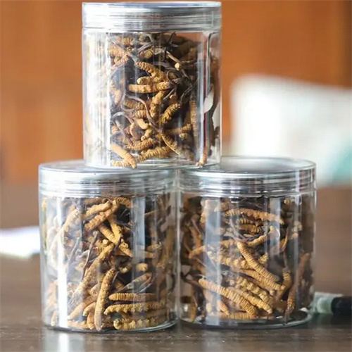 舟山-王级标准1800根至2000根1公斤的冬虫夏草回收价格