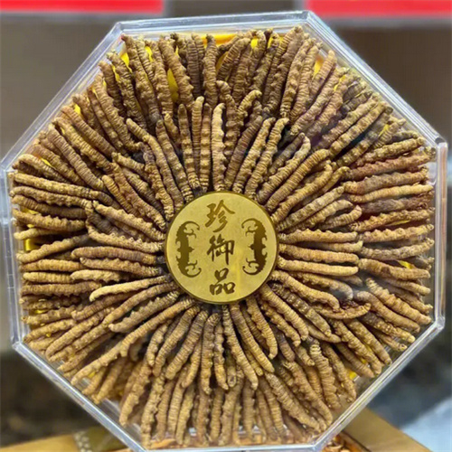金华-王级标准1800根至2000根1公斤的冬虫夏草回收价格