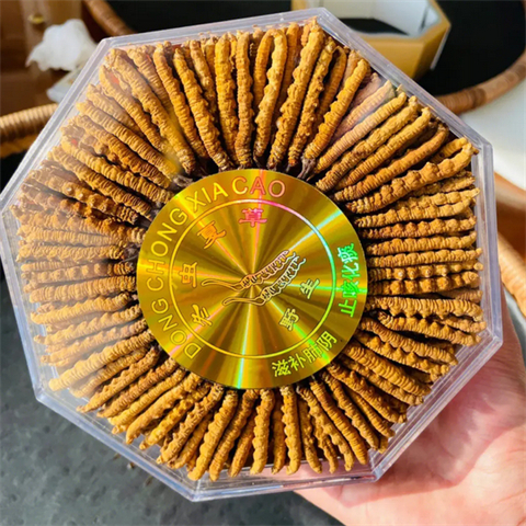 绍兴回收冬虫夏草-新昌-诸暨-嵊州区域大量收购虫草
