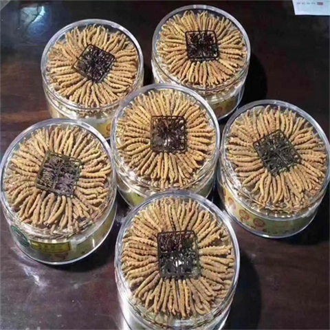 南汇收购虫草-盒-瓶-罐-袋包装30克至1000克均可回收