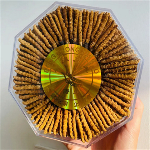 金山收购虫草-盒-瓶-罐-袋包装30克至1000克均可回收