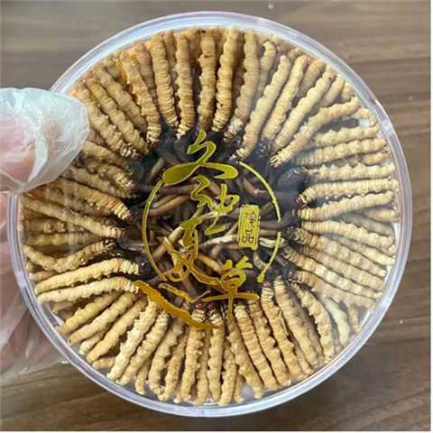 栖霞-中级标准2500条至3500条1千克的冬虫夏草回收价格