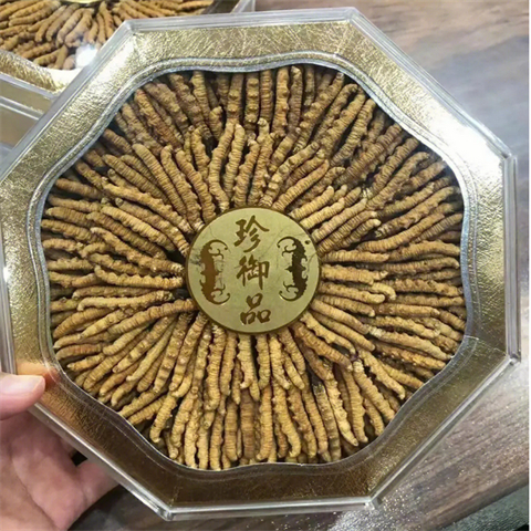 新沂-中级标准2500条至3500条1千克的冬虫夏草回收价格